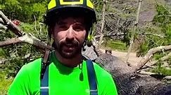 Cut Tree Branches Without Getting Stuck #shorts #treecut #treecutting #ram #stihlchainsaw #treework #brushbandit #arblife #treeworkers #treeclimber #treecare #lineclearance | Declan Espinoza