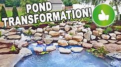 POND TRANSFORMATION: It Has Everything! - REVEAL