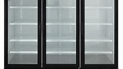 Central Exclusive 69K-119 Swing Glass Door Freezer, 3 Doors