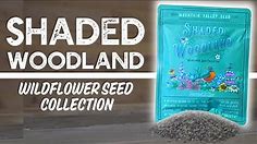 Shaded Woodland//Wildflower Seed Collection