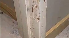 How To Repair Door Jamb #shorts #youtubeshorts #woodworking