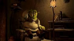 Shrek - Everyone deserves some rest, Shrek, and relaxation...