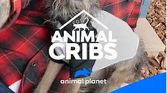 Animal Cribs: Season 2 Episode 10 Rescue Ranch Remodel