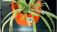 Bottle Craft Ideas - Craft with plastic bottle - Waste bottle transformation flower pot (321) DIY Craft making beautiful flower pots 🌺💐☘️🪴 #trending #shorts #art #idy #Handmade #reels #gadgets #garage #foryou #DIY #trend #trendingreels #satisfying #explorepage #papercrafts #PaperFlowers | Paper Flower