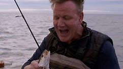 Gordon finds out there's plenty... - National Geographic UK