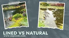 Liner pond vs natural pond