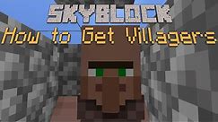 How to Get Villagers in Skyblock