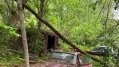 Found hundreds of rare cars sitting abandoned in the middle of nowhere #abandoned #cars #jaguar #porsche #volkswagen #urbex #exploring #barnfind #fyp#viral # | Urbex ventures