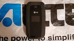 Tracfone Wireless LG 440G