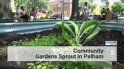 GrownNYC partners with NYCHA to convert outdoor spaces into community gardens