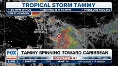 Tropical Storm Tammy Likely To Strengthen Into Hurricane