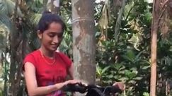 Tree Climbing Machine In INDIA کیا آپ نے دیکھی ہے #palmtrees #coconut #treeremoval #machine #invention #facebookviral treecutting,motormachine,climbing,technology,viral,fbreels | FACTS TIME