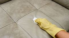 How to Clean Mold From Leather - An Easy Step-by-Step