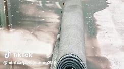 Extremely dirty carpet brought back to life#carpet #carpetcleaning #carpetclean #carpetwashing #carpetcleaner #viral #viralvideo #viraltiktok #viralvideos #clean #cleantok #cleaning #cleaningtiktok #satisfyingvideo #satisfyingvideos #fyp #fypシ #foryou #foryoupage