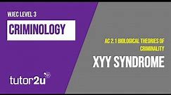 XYY Syndrome | WJEC Criminology | Unit 2 | A.C. 2.1 | Revision