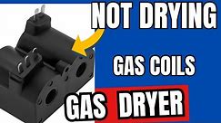 ✨ Gas Dryer Isn’t Drying The Clothes Easy DIY Fix ✨