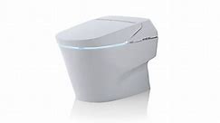 TOTO Neorest Toilet Bowl Installation Guide
