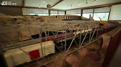 Rare model train collection donated to Queensland museum after being kept in secret