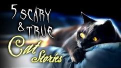5 Scary & True CAT Stories That Will Leave You Unsettled