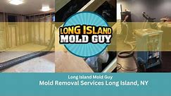 Mold Removal Services Long Island NY - Long Island Mold Guy