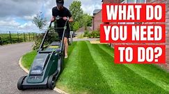 A Beginners Guide to Great Lawn Care - What Do You REALLY Need To Do?