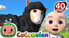 Baa Baa Black Sheep Song + More Nursery Rhymes & Kids Songs - CoComelon