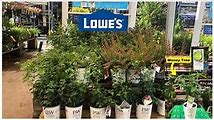 Explore Lowe's Garden Center with Me |||| Beautiful Flowers and Plants
