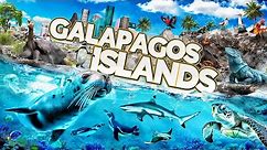 Zoo Tours: NEW! Galápagos Islands | Houston Zoo