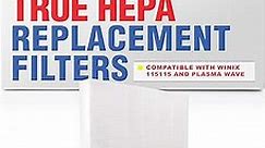 LifeSupplyUSA True HEPA Air Cleaner Filter Replacement Compatible with Winix PlasmaWave 115115, Size 21