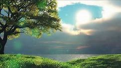 Beautiful nature landscape Tree lake clouds Sunshine - Animated background wallpapers loops videos