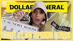 *BEST* DOLLAR GENERAL HAUL | SPRING 2024 NEW ARRIVALS FOR only $1.00?! | Farmhouse Decor Scores