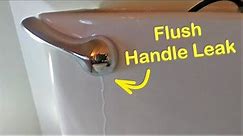 Toilet Handle Shouldn’t Leak