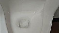 Early 2000s Eljer Dover Urinal Flushing Toilet Paper