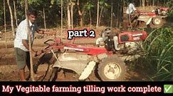My Vegitable farming tilling work complete ✅ part 2 #tusharpowertiller