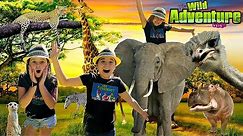All About Wild Animals | ZOO ANIMALS for Kids | BEST ANIMAL ADVENTURE Park!