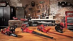 Craftsman 24-Volt Lawn Care Equipment and Tools