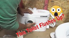 Up Flush Toilet
