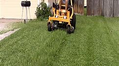 Mowing a Thick Bahia Grass Side Yard