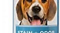 Dog Stain and Odor Remover – Naturally removes bad smells and residue left behind by puppies and adult canines, eliminates urine odors …