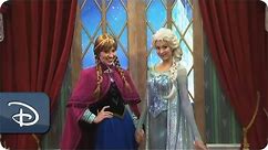 'Frozen' Meet & Greet With Anna & Elsa at Epcot | Walt Disney World