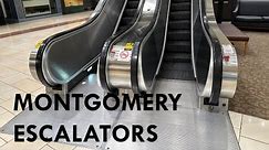 Montgomery Escalators - The Shoppes at Buckland Hills, Manchester, CT