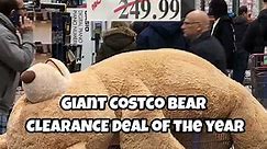Giant Costco Bear Clearance Sale - Get 93 Inches of Fun at a Super Low Price!