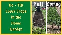 Fall Planting Cover Crops In The Home Garden - No Till Method - Feeding The Life In The Soil