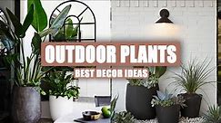 45+ Best Outdoor Plant Decor Ideas