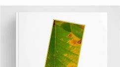 Changing Leaves Printable Bookmark - Make your own bookmarks with our printable bookmark files #reading #stationery #crafts #autumn