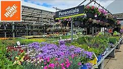 Home Depot Inventory May 2023 Perennials, Proven Winners Annuals, Trees, and Shrubs!