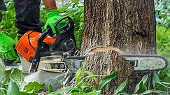 Beginner Tree Cutting Tips