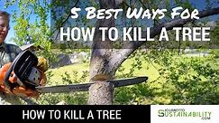 5 Best Ways For How To Kill A Tree - How To Kill A Tree - Journey To Sustainability