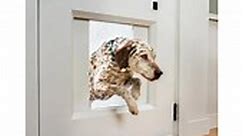 Automatic door for pets by myQ Pet Portal | Fossbytes