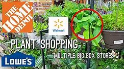 Come Plant Shopping with me at Lowes, Home Depot, & Walmart!